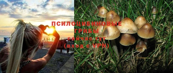 амф Верея