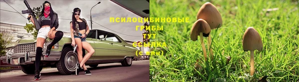 амф Верея