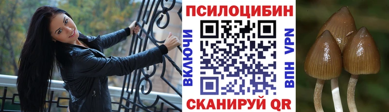 Галлюциногенные грибы мицелий  omg зеркало  Выборг  купить  цена 